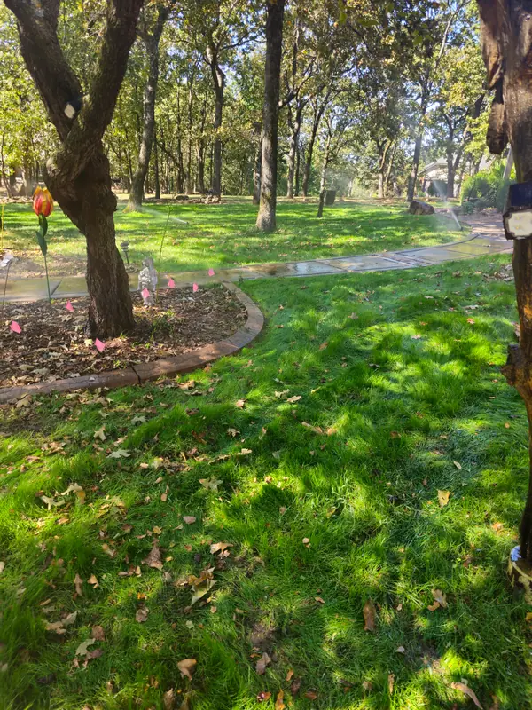 Several sprinkler zones running at once across a wooded Tulsa lawn, with pink marking flags set along the bed edge